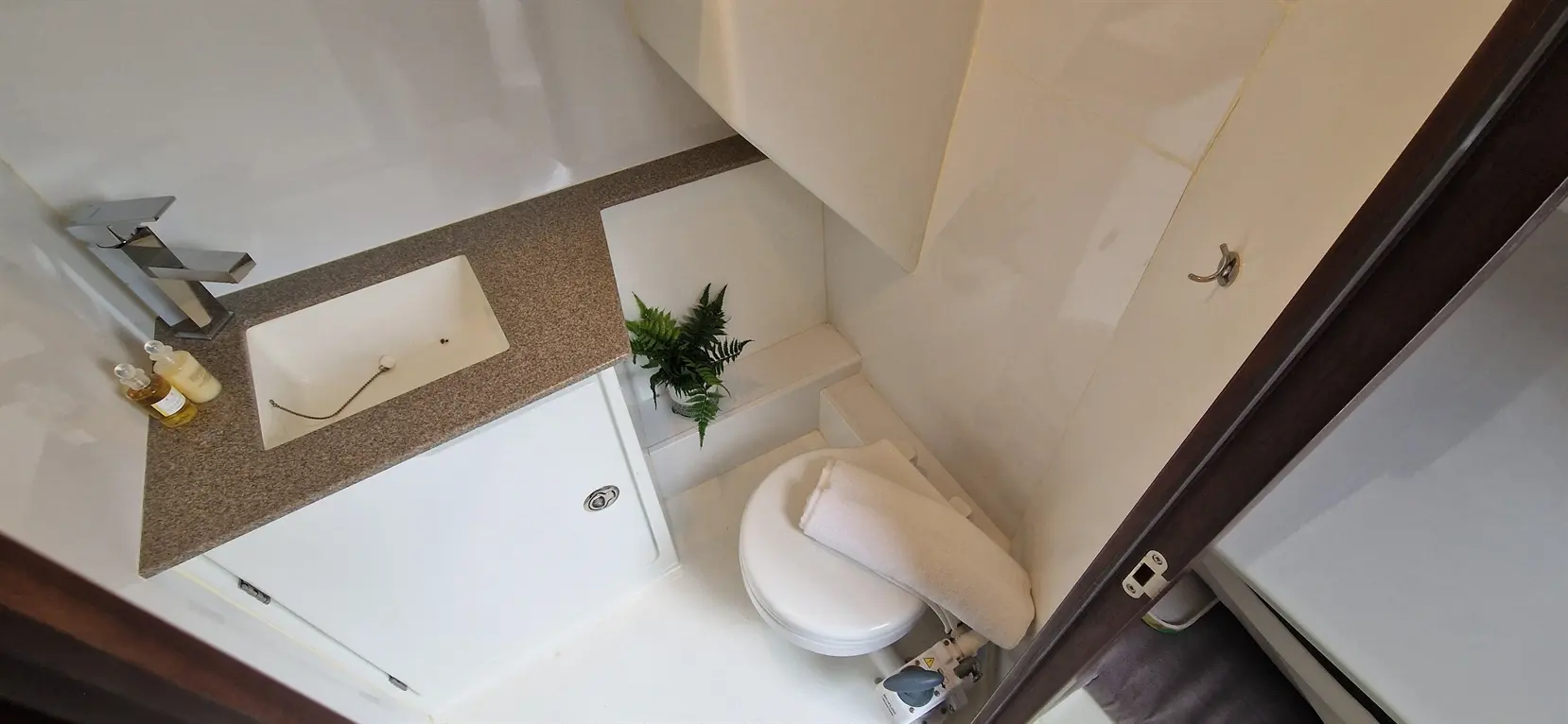 A modern bathroom featuring a white toilet, a minimalist sink, decorative plants, and toiletries on a grey countertop.